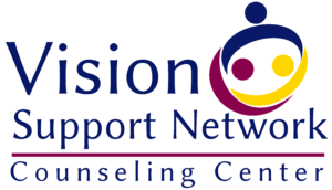 VSN LOGO 1